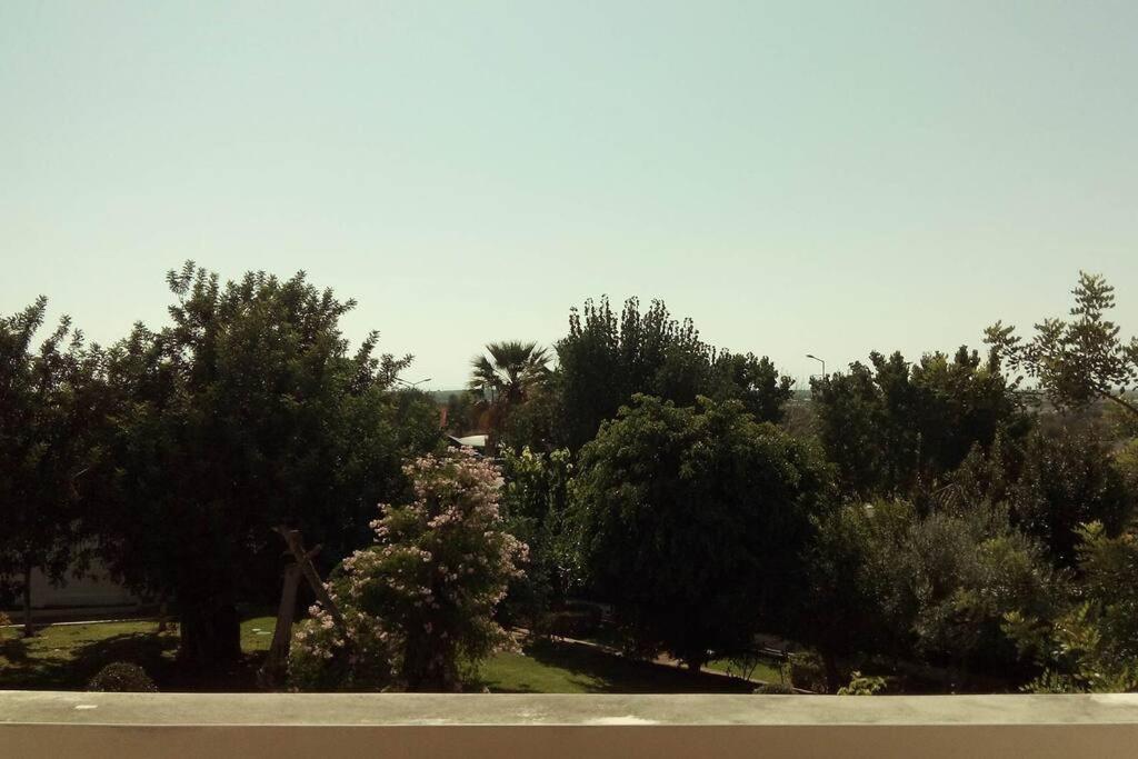 Appartement Tavira Travel Lovers Extérieur photo